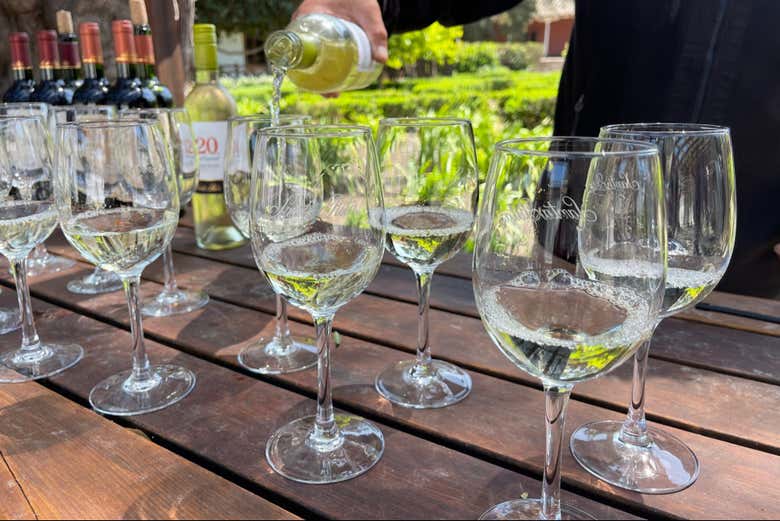 Degustação de vinhos de Santa Rita