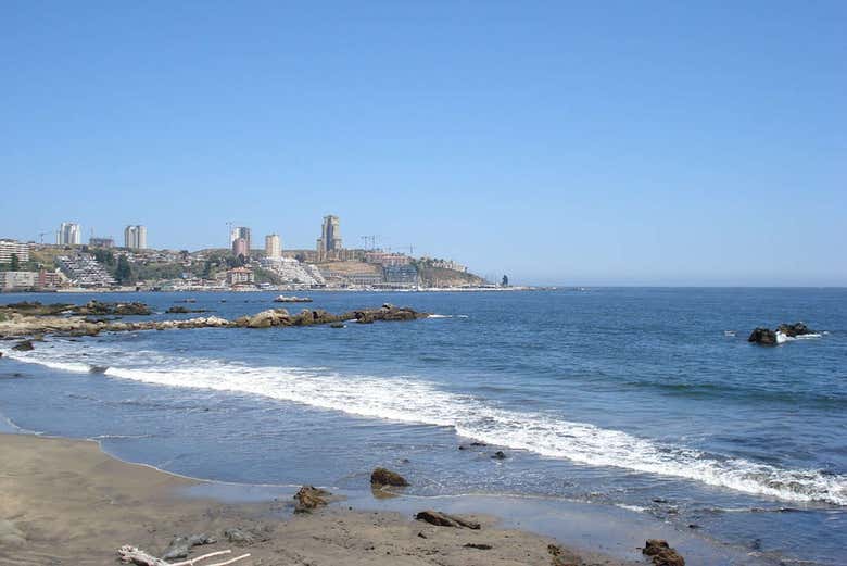 Playa de Viña del Mar