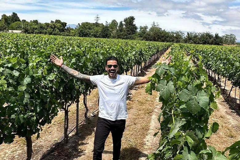 Desfrutando entre as vinhas!