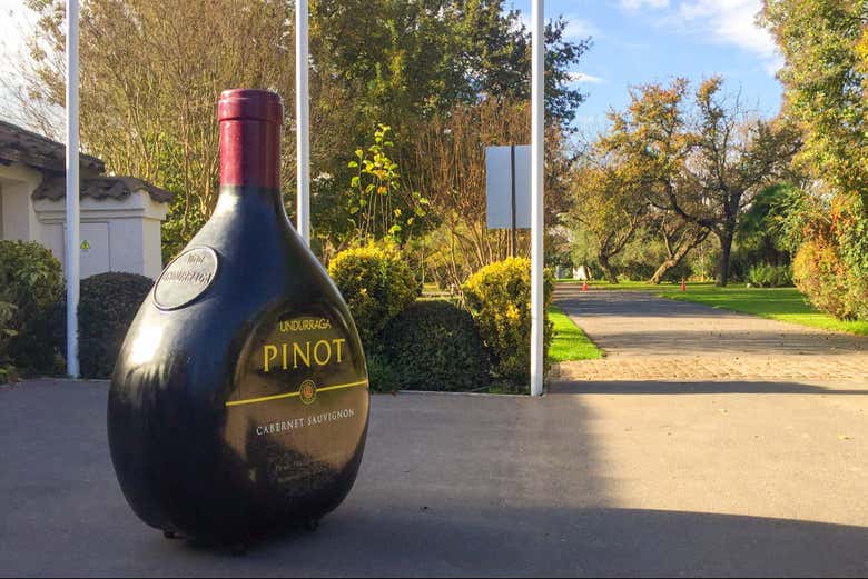 Vinho da vinícola Undurraga