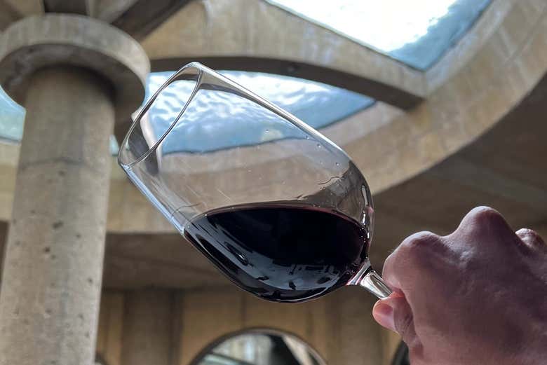 Provando os vinhos da Vinícola Haras de Pirque