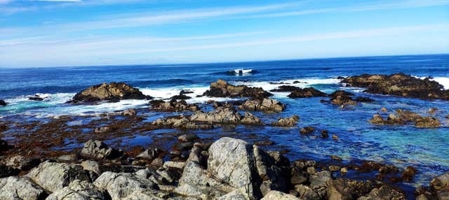 Excursão a Isla Negra, Algarrobo e Viña Undurraga
