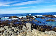 Excursión a Isla Negra, Pomaire y Viña Undurraga