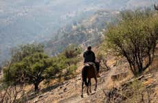 Paseo a caballo por el cerro La Dehesa + Cata de vinos