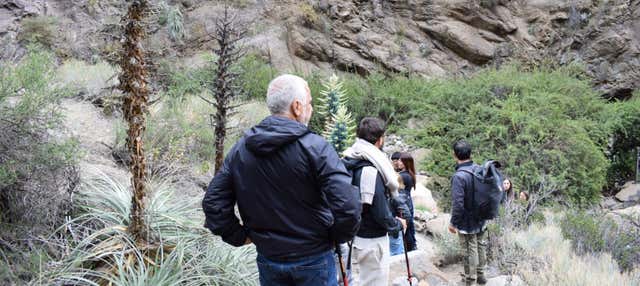 Senderismo / Trekking