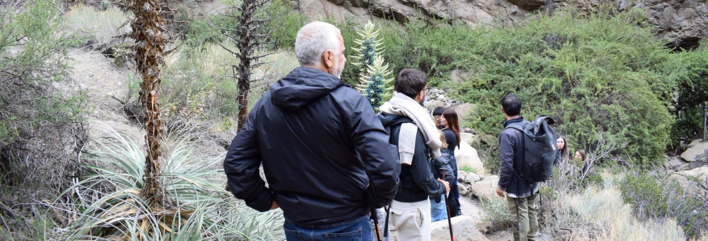 Senderismo / Trekking en Santiago de Chile