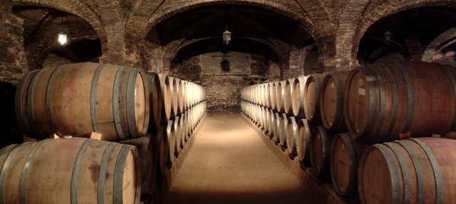 Visita a las bodegas de Santa Rita