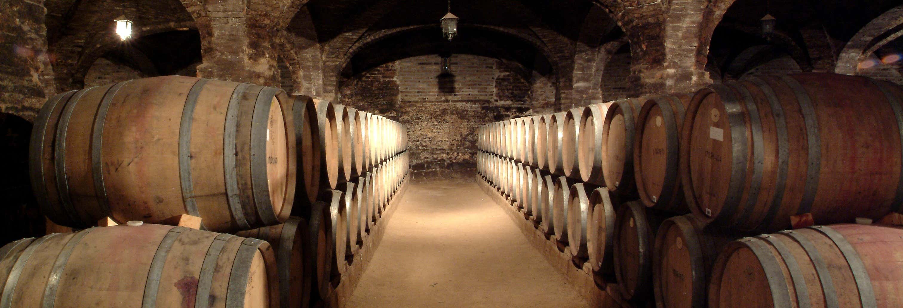 Gastronomia e enoturismo em Santiago