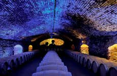 Tour del vino Casillero del Diablo en la Viña Concha y Toro + Cena