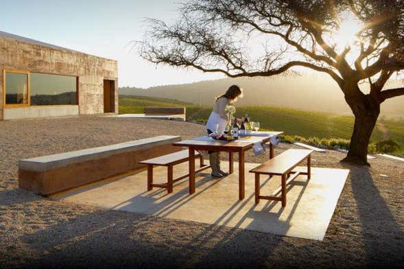Visita a la viña Casas del Bosque