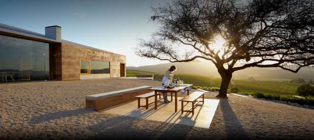 Casas del Bosque Winery Tour