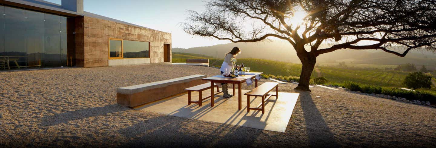 Gastronomía y enoturismo en Santiago de Chile