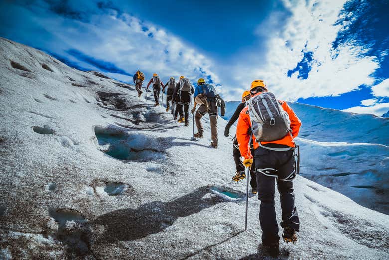 Trekking por el glaciar Grey