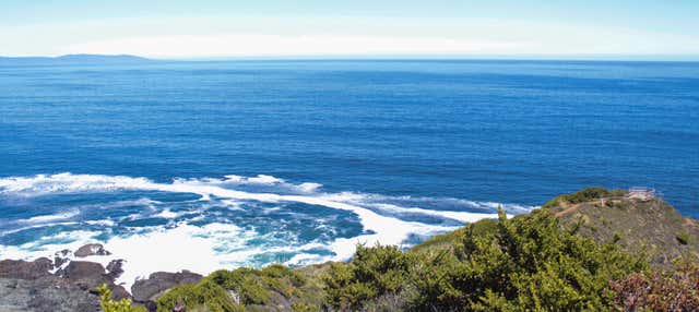 Excursion à Punta Curiñanco
