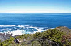 Excursão a Punta Curiñanco