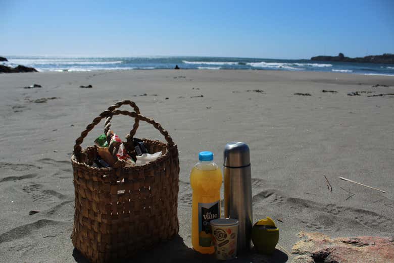 Disfrutaremos de un pícnic ligero en la playa