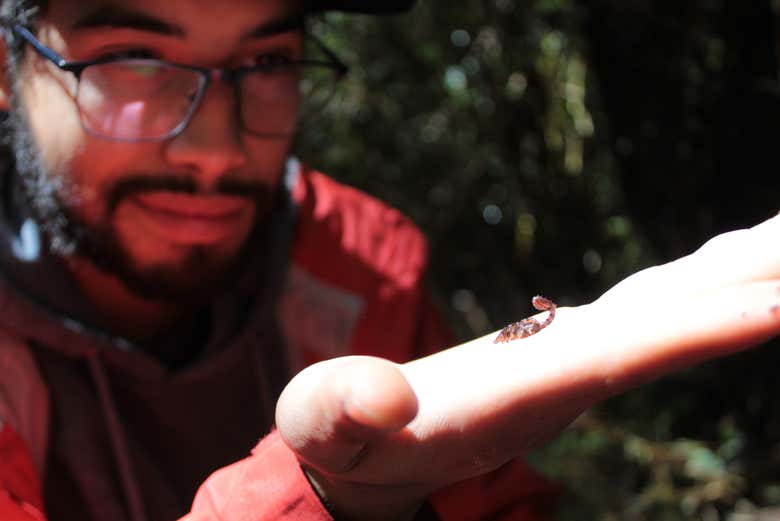 Conoceréis las especies de flora y fauna