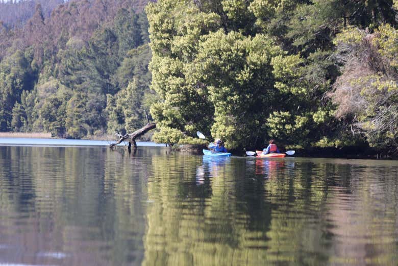 Un bellissimo paesaggio del fiume Valdivia
