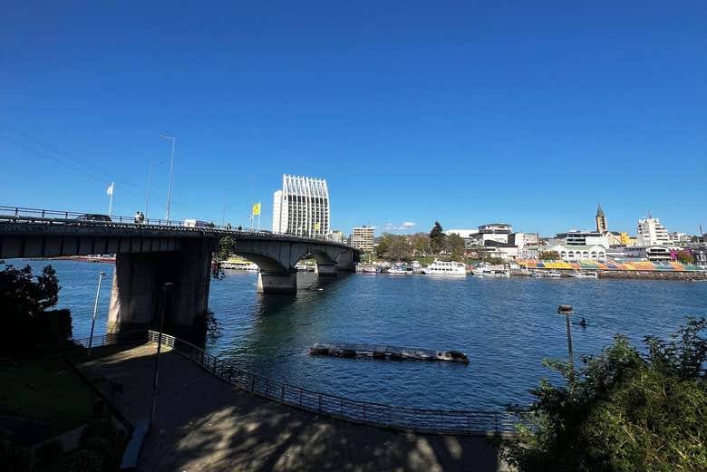 Il Ponte Pedro de Valdivia