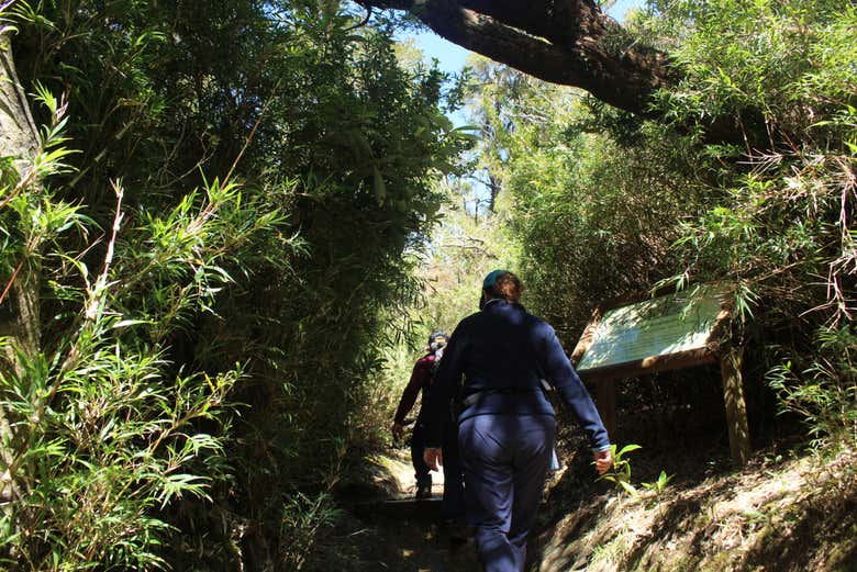 Lungo i sentieri del Parque Oncol