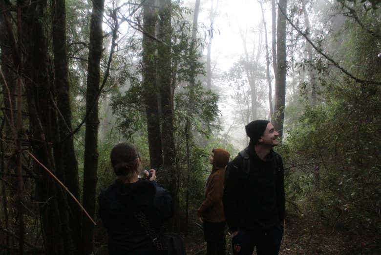 Disfrutando el tour por Senderos del Bosque