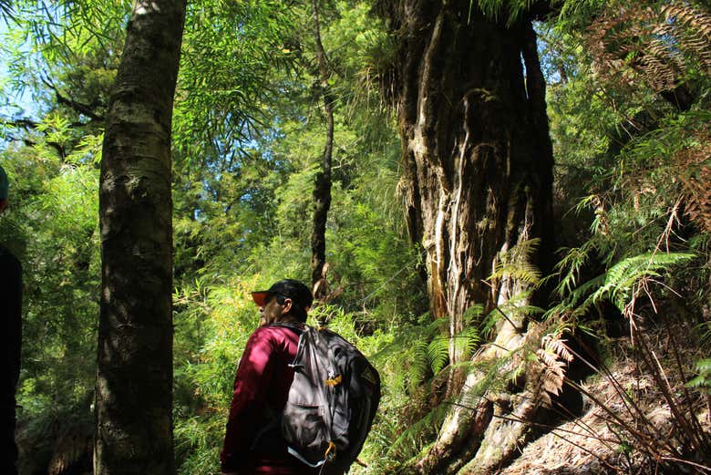 Alla scoperta della flora del Parque Oncol
