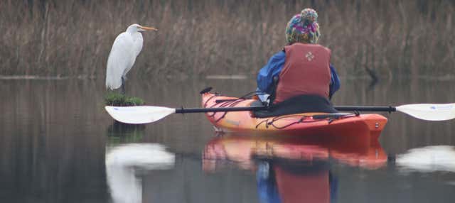 Balade en kayak sur la rivière Valdivia