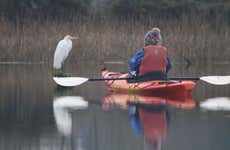 Balade en kayak sur la rivière Valdivia