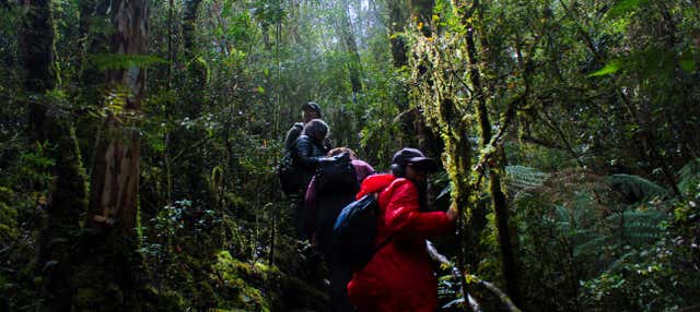 Excursion dans la réserve écologique Senderos del Bosque