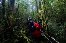 Tour pela reserva ecológica Senderos del Bosque
