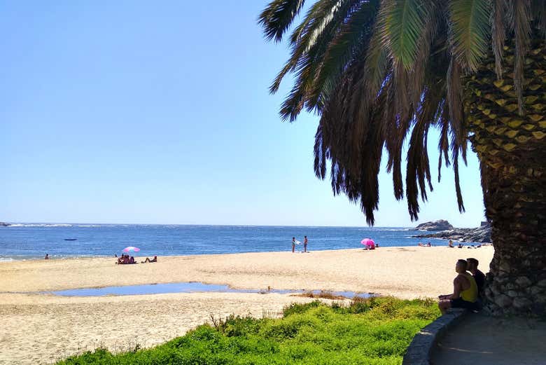 Découvrez de belles plages chiliennes