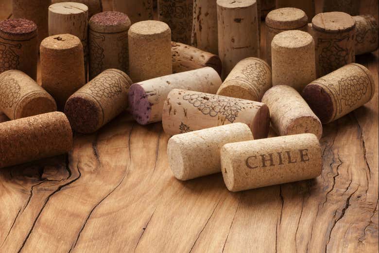 Descubriremos por qué son tan afamados los vinos chilenos