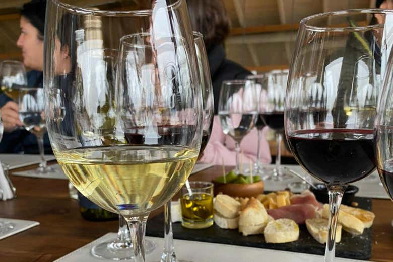 En el Valle de Casablanca se producen tintos y blancos