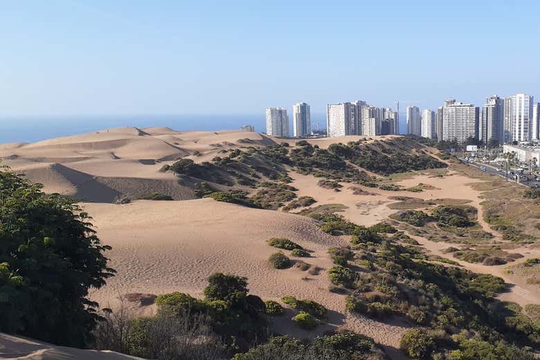 tour-por-valpara-so-y-vi-a-del-mar-reserva-en-civitatis