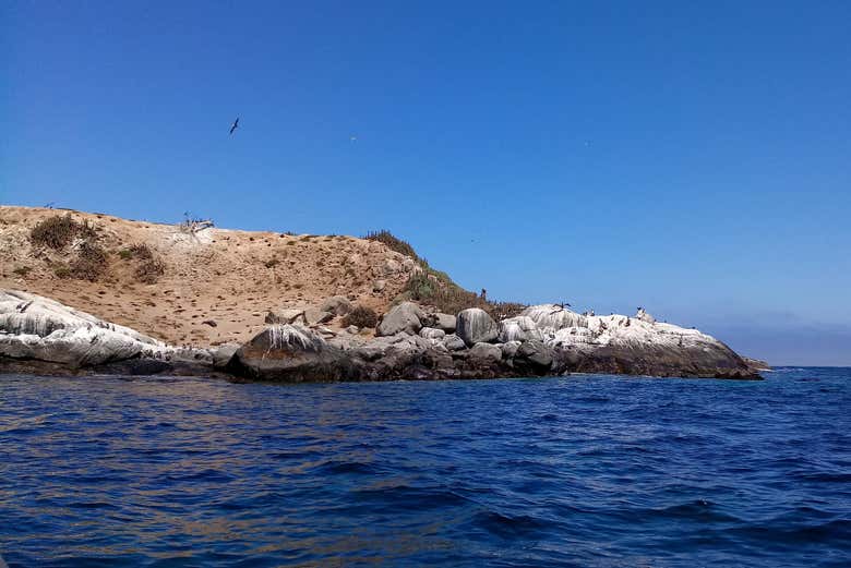 Litoral de Cachagua y Zapallar