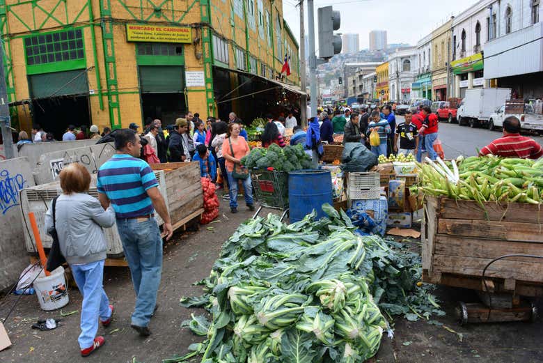 El Cardonal market