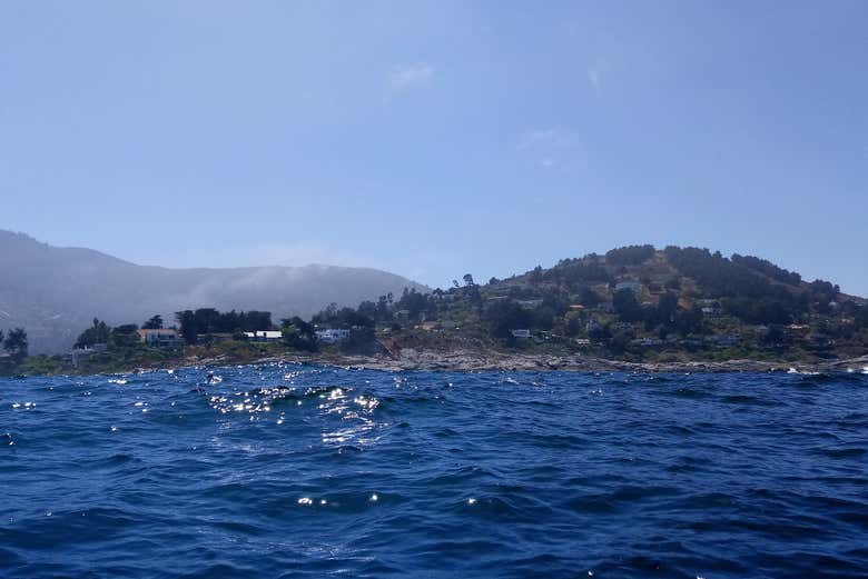 Paisajes de isla Cachagua