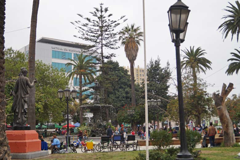 Recorreremos los alrededores de la plaza Victoria