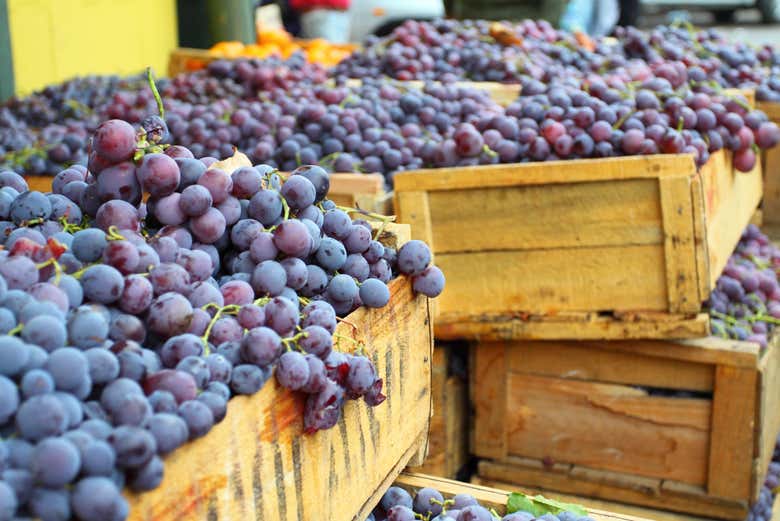 Uvas de los viñedos del Valle de Casablanca