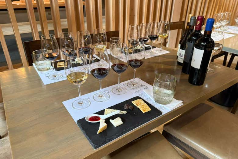 Cata de vinos