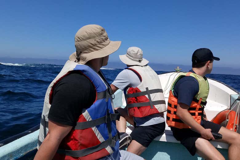 Disfrutando de la travesía de avistamiento
