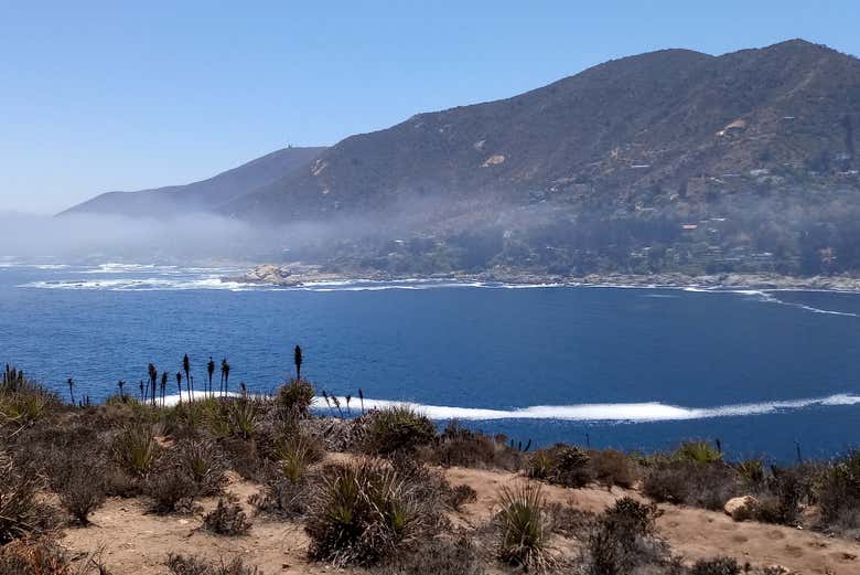 Costa de Cachagua e Zapallar