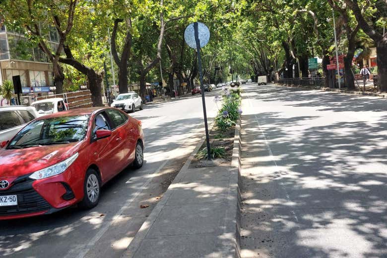 Avenida Libertad em Viña del Mar