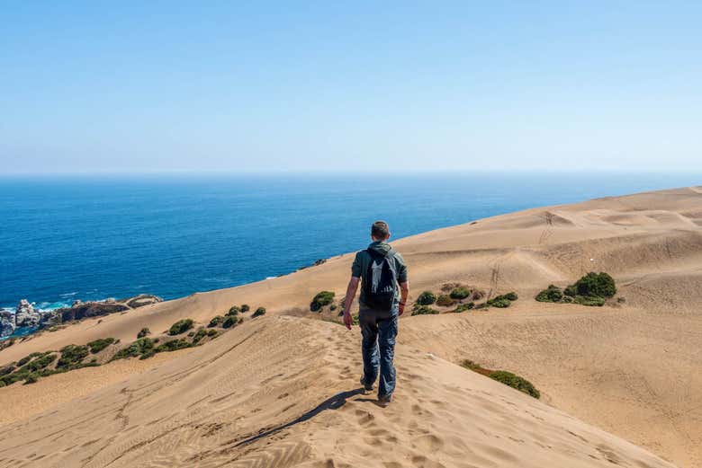 Paseando por las dunas