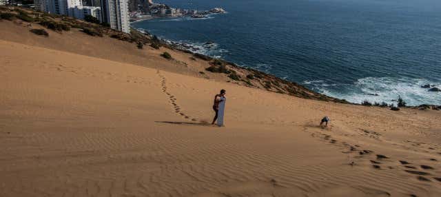 Sandboarding en las dunas de Concón