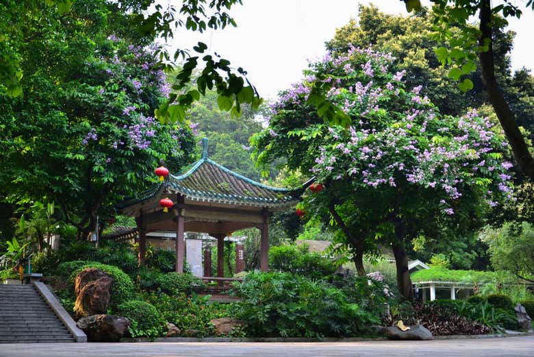 O parque de Yuexiu