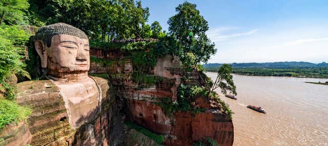 Excursión privada al Gran Buda de Leshan + Reserva de pandas