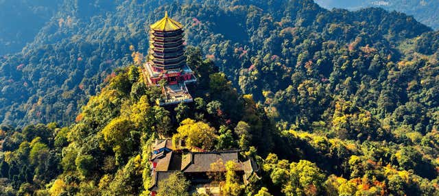 Excursión privada al monte Qingcheng y Dujiangyan