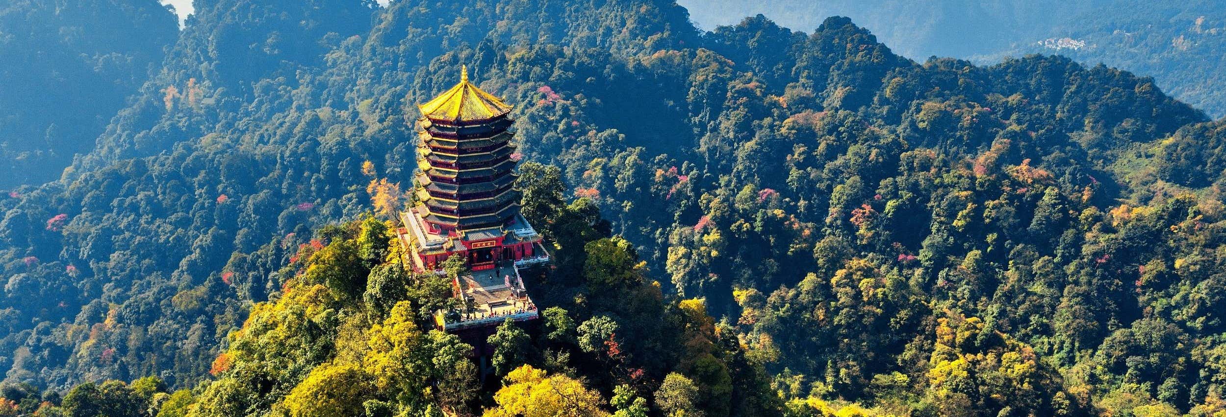 Escursioni di un giorno a Chengdu