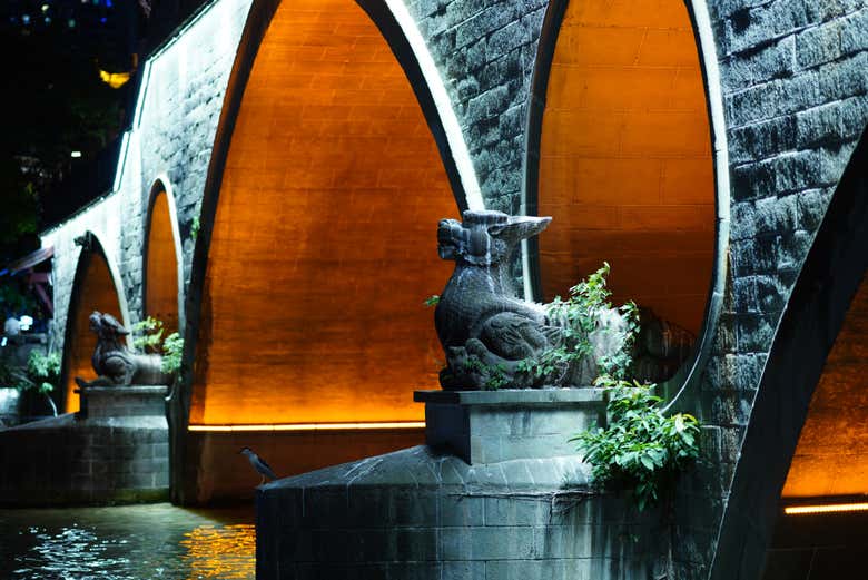 Impresionantes detalles del Puente Anshun